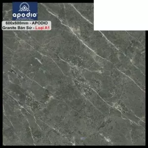 Gạch 60x60 Apodio FA662205