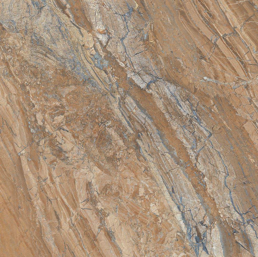 shutterstock_1367345291-2-F1-