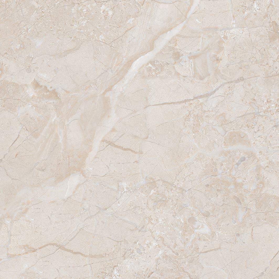 shutterstock_1260258109-F1-