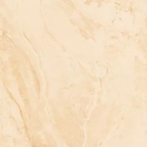 Gạch 60x60 Apodio 66282025