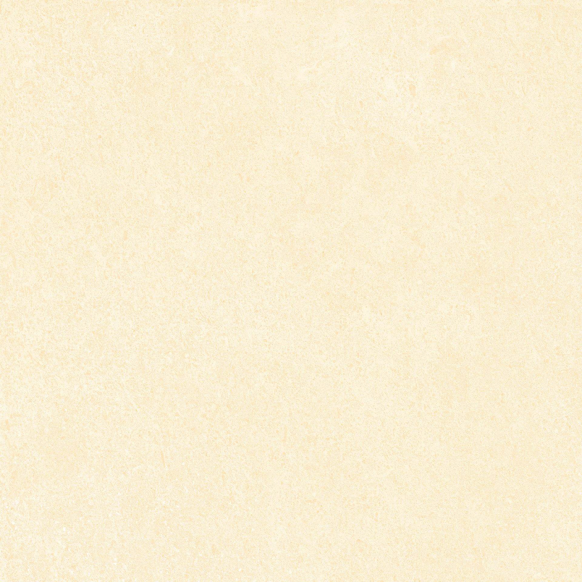 66482029-D2chọngoc-