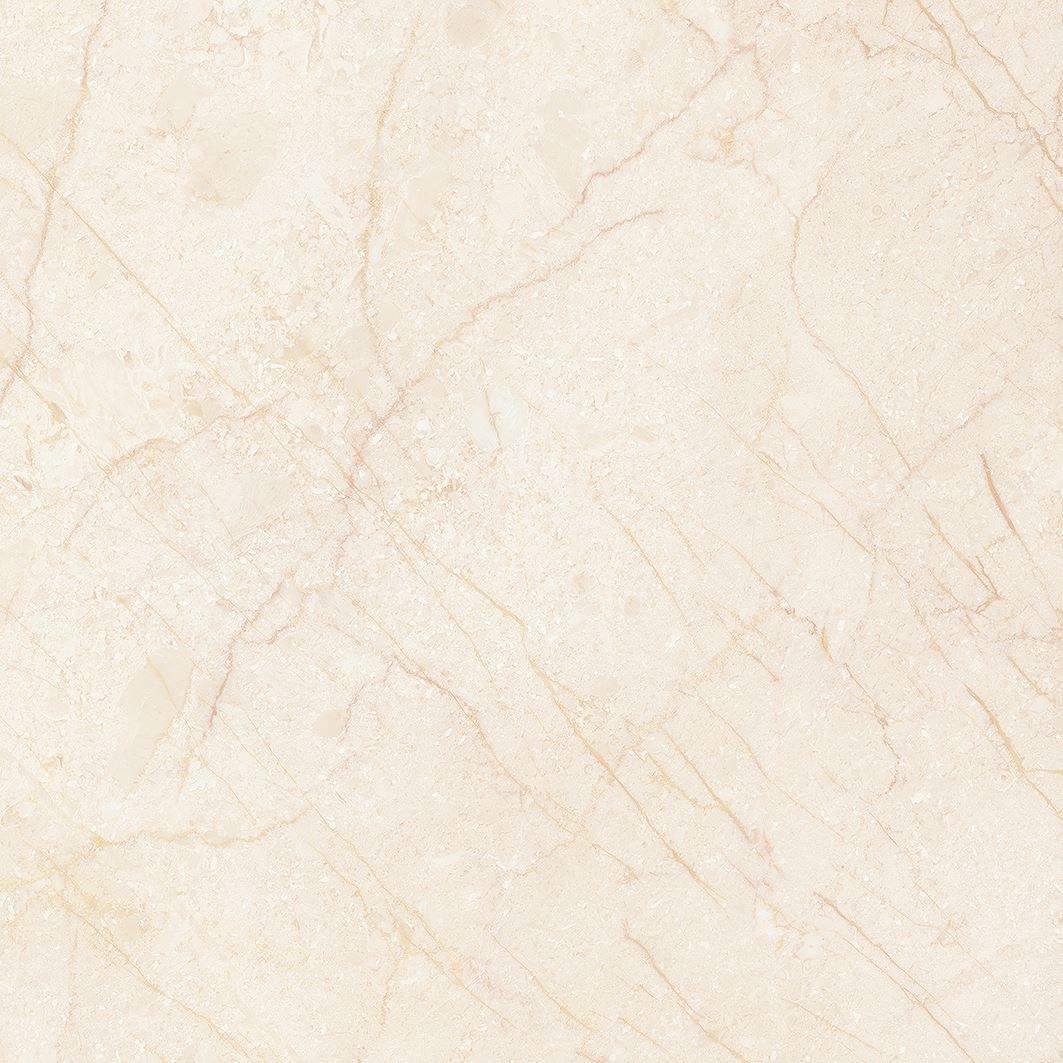 shutterstock_1288648981-1-