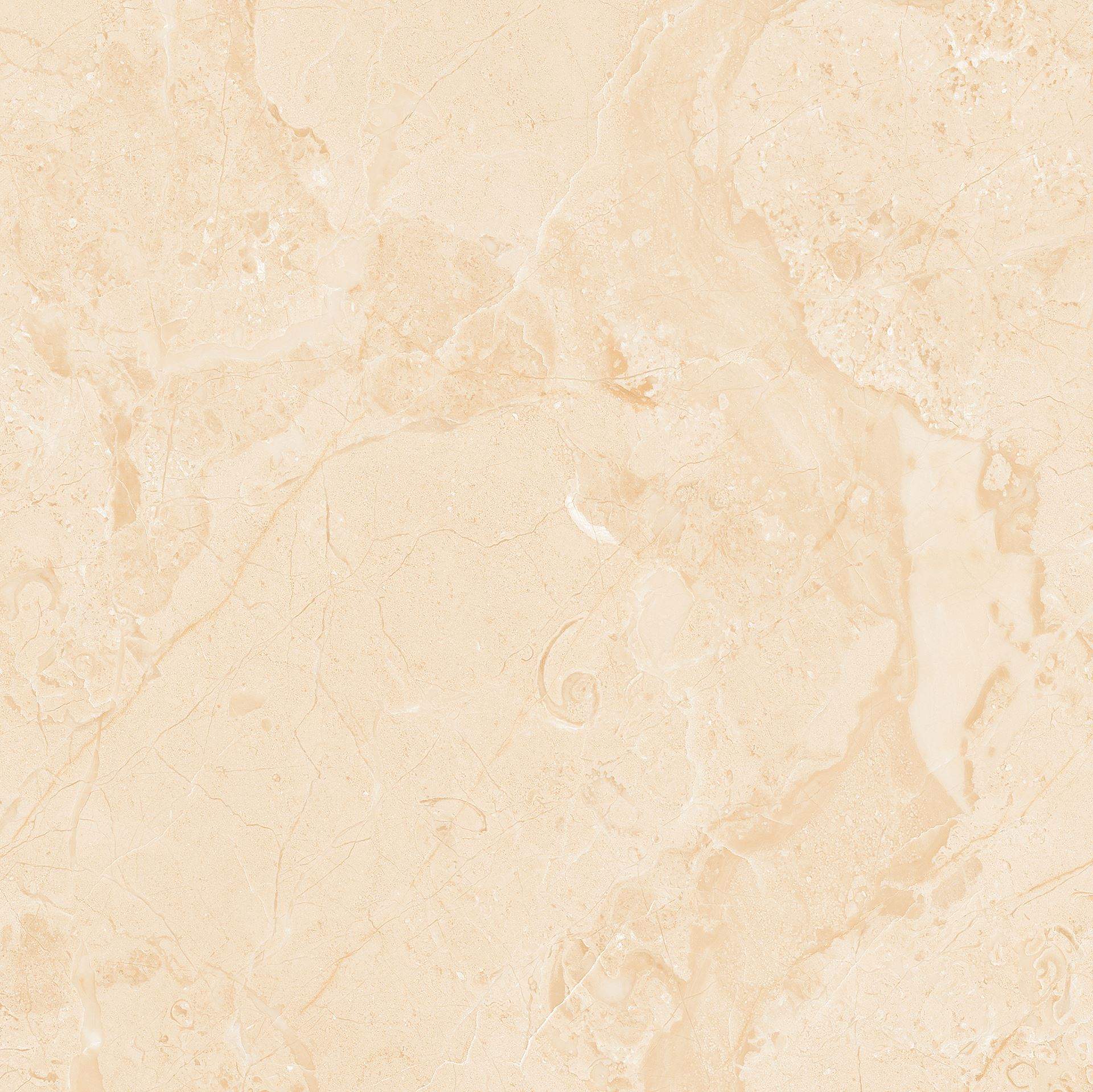 shutterstock_1260258112-1-F2-