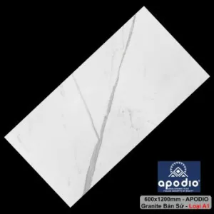 Gạch 60x120cm Apodio 61181070