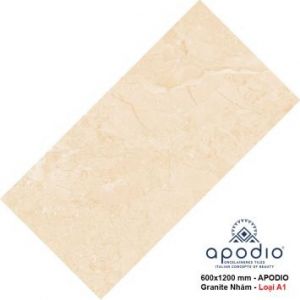 Gạch 60x120cm Apodio 61282044