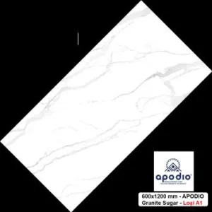 Gạch 60x120 cm Apodio 61121010