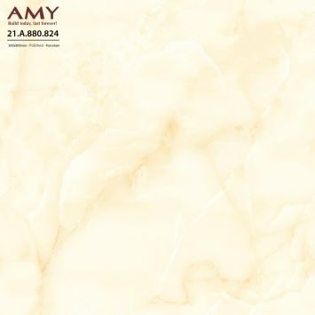 gach-lat-a-my-21-a-880-824-