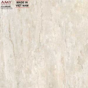 Gạch Lát Á Mỹ 21.A.880.801