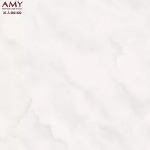 Gạch Lát Á Mỹ 21.A.880.820