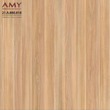 gach-lat-a-my-21-a-880-818-