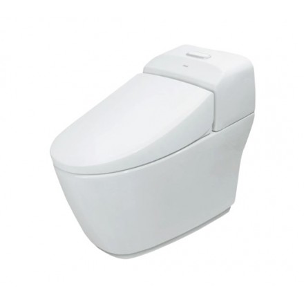 bon-cau-inax-AC-1032VN-1-khoi-440x440-