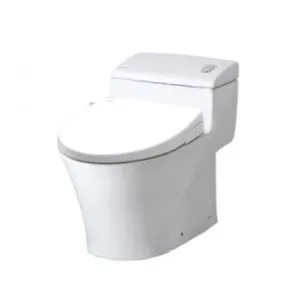 Bồn Cầu INAX AC-1008R/CW-S15VN Nắp Rửa Cơ