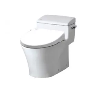 Bồn Cầu INAX AC-1017R/CW-S15VN Nắp Rửa Cơ
