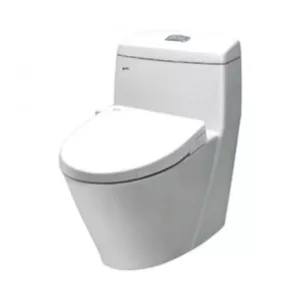 Bồn Cầu INAX AC-909R/CW-S15VN Nắp Rửa Cơ