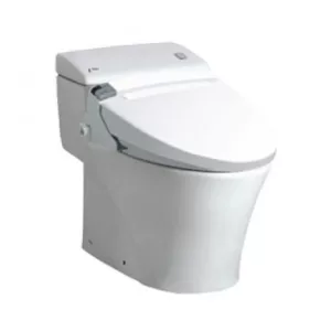 Bồn Cầu Thông Minh INAX AC-1008R/CW-KA22AVN