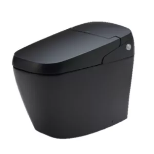 Bồn Cầu Thông Minh INAX AC-G216VN/BKG Màu Đen