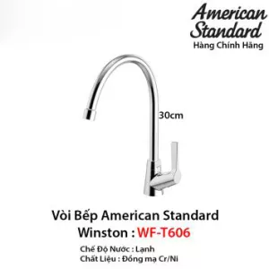 Vòi Rửa Bát 1 Đường Lạnh American Standard WF-T606