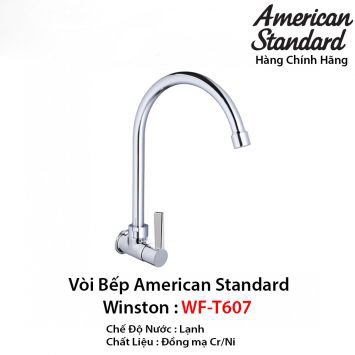 voi-rua-bat-1-duong-lanh-american-standard-wf-t607