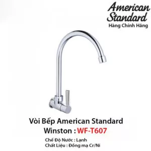 Vòi Rửa Bát 1 Đường Lạnh American Standard WF-T607