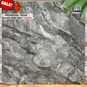 Gạch 60x60 Royal QQ6993