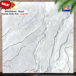 Gạch 60x60 Royal QQ6996