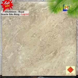 Gạch 60x60 Royal RA69808