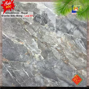 Gạch 60x60 Royal RA66018