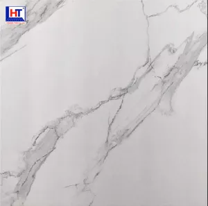 Gạch Ấn Độ 1200×1200 VA-1202