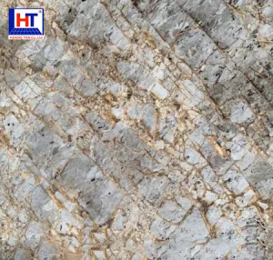 Gạch Ấn Độ 120×120 VA-1209