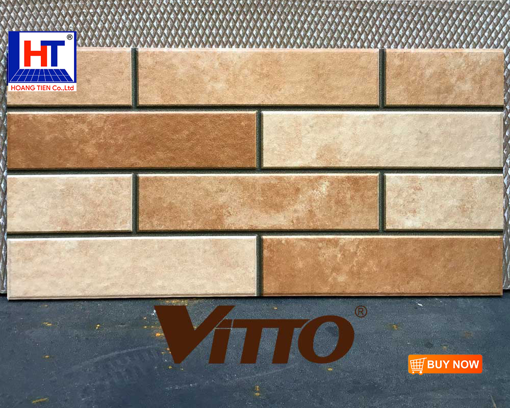 gach-25x50-vitto-vincera-6702