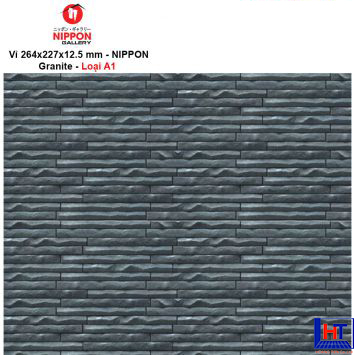 gach-nippon-fgn13h-y03