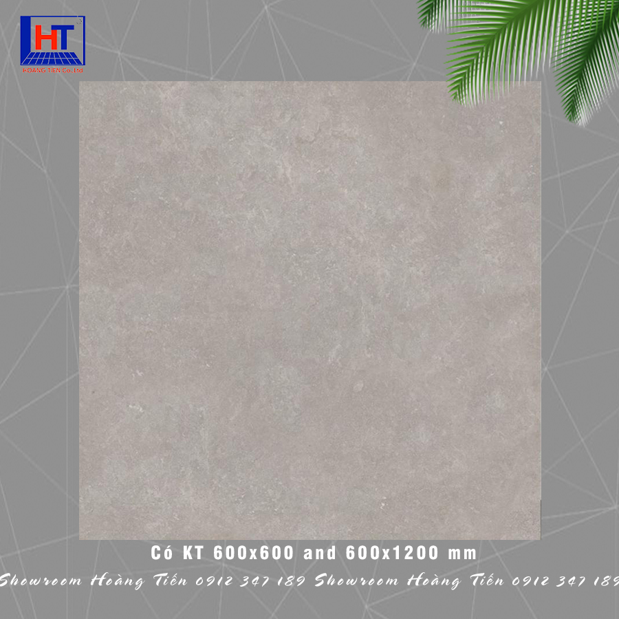 CARMEL GRIS 600*600 / 600*1200