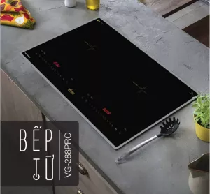 BẾP TỪ VINGER VG-288PRO