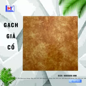 Gạch cổ điển HT60605